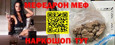 индика Гатчина