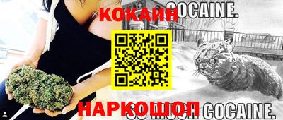 индика Гатчина