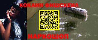 индика Гатчина