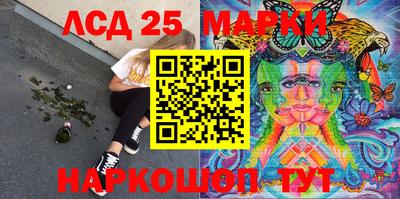 индика Гатчина