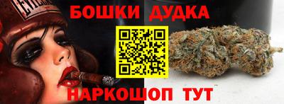 индика Гатчина