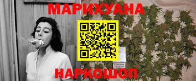 индика Гатчина