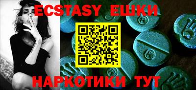 индика Гатчина