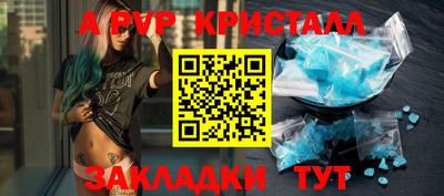 индика Гатчина