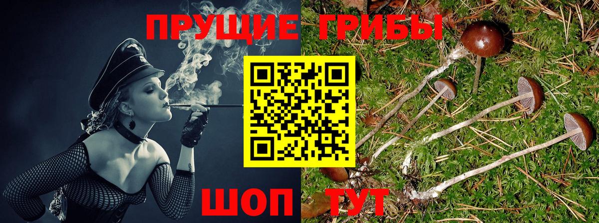 Псилоцибиновые грибы Magic Shrooms  Псилоцибиновые грибы Magic Shrooms  Новотроицк  Вход с VPN 